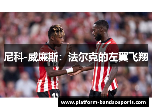 尼科-威廉斯：法尔克的左翼飞翔