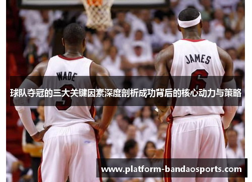 球队夺冠的三大关键因素深度剖析成功背后的核心动力与策略