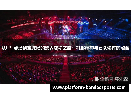 从LPL赛场到篮球场的跨界成功之路：打野精神与团队协作的融合