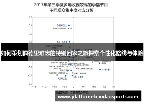 如何策划佩德里难忘的特别回家之旅探索个性化路线与体验