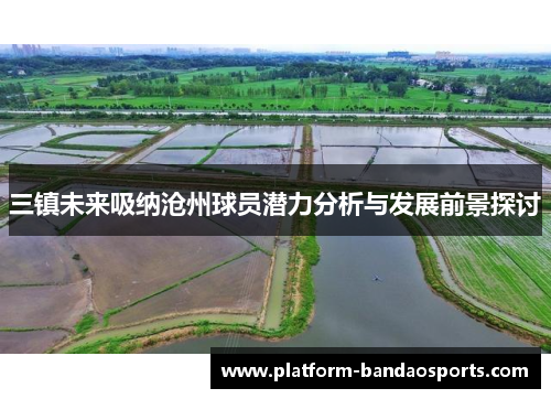 三镇未来吸纳沧州球员潜力分析与发展前景探讨