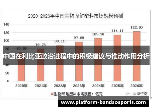 中国在利比亚政治进程中的积极建议与推动作用分析