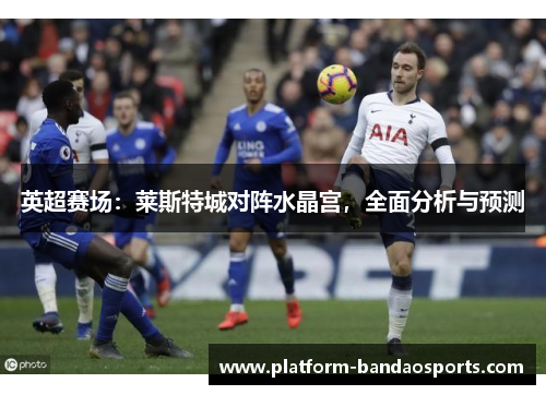 英超赛场：莱斯特城对阵水晶宫，全面分析与预测