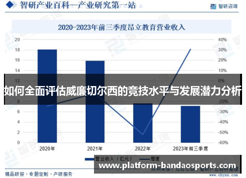 如何全面评估威廉切尔西的竞技水平与发展潜力分析