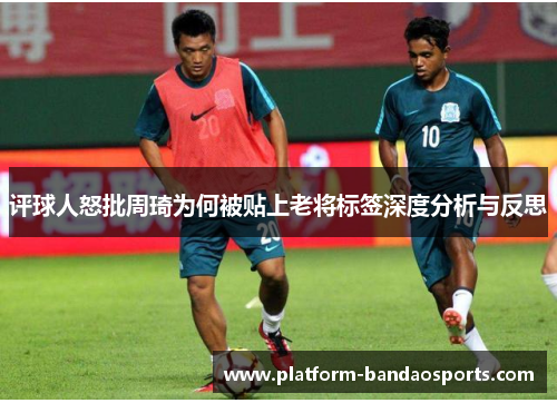 评球人怒批周琦为何被贴上老将标签深度分析与反思